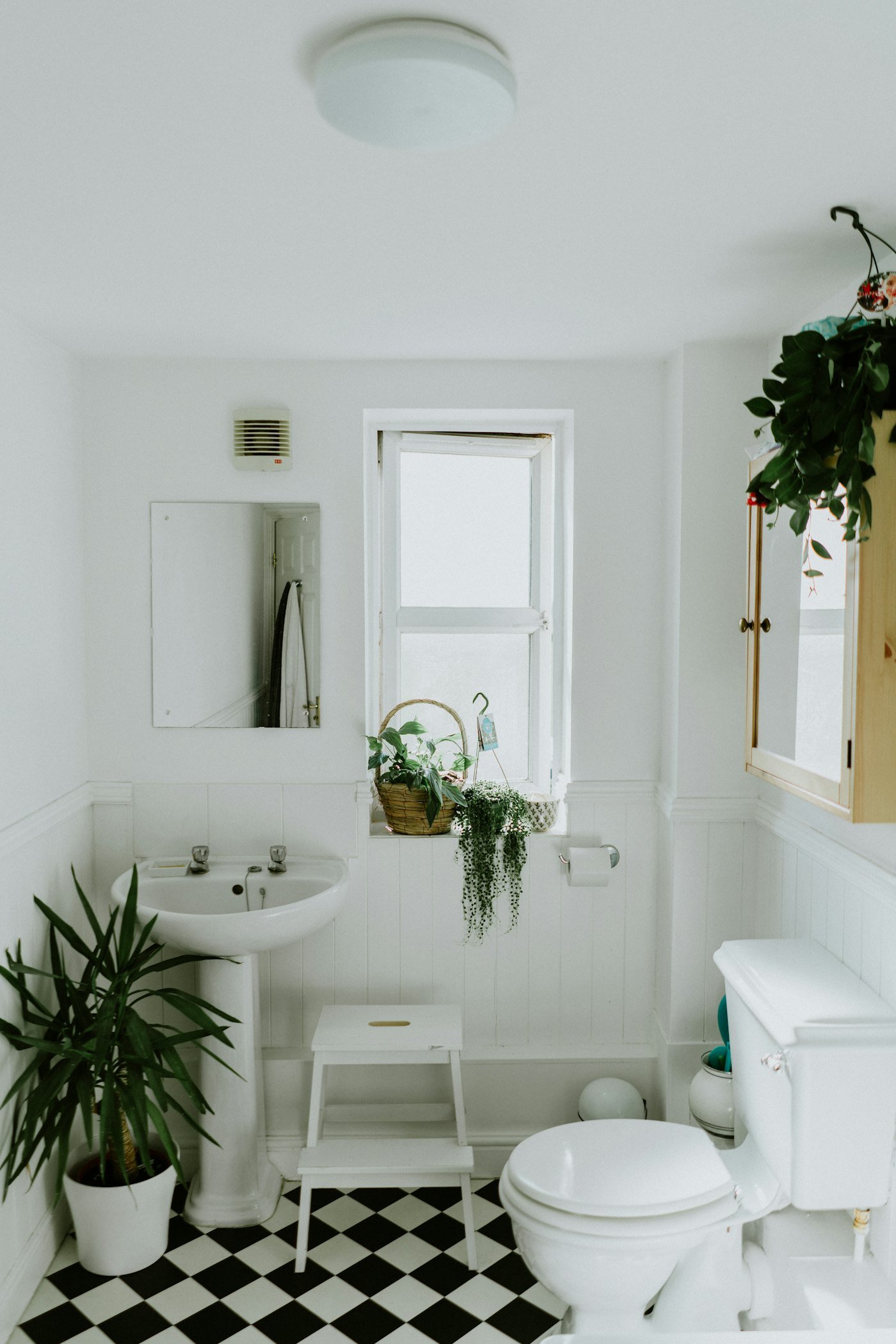 Salle de bain blanche et lumineuse avec plantes